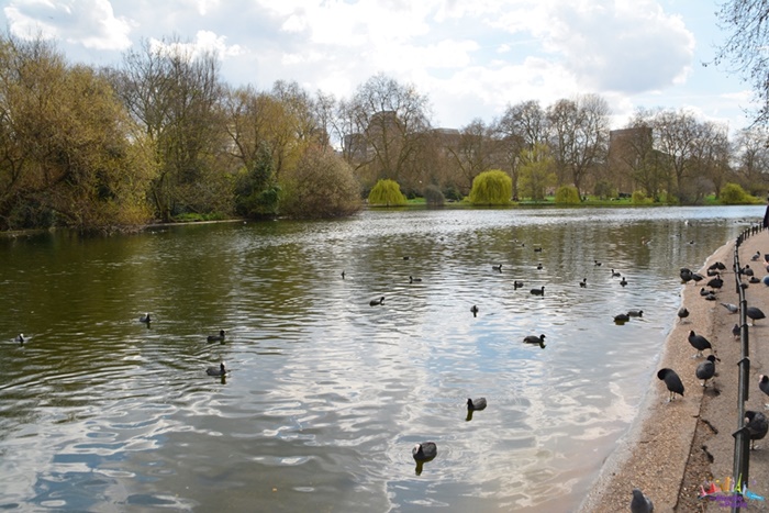 st james's park