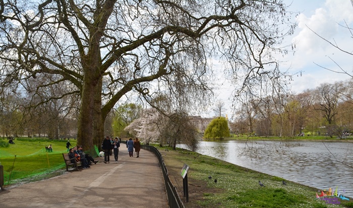 DSC_0776 st james's park