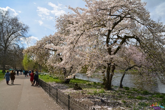 st james's park