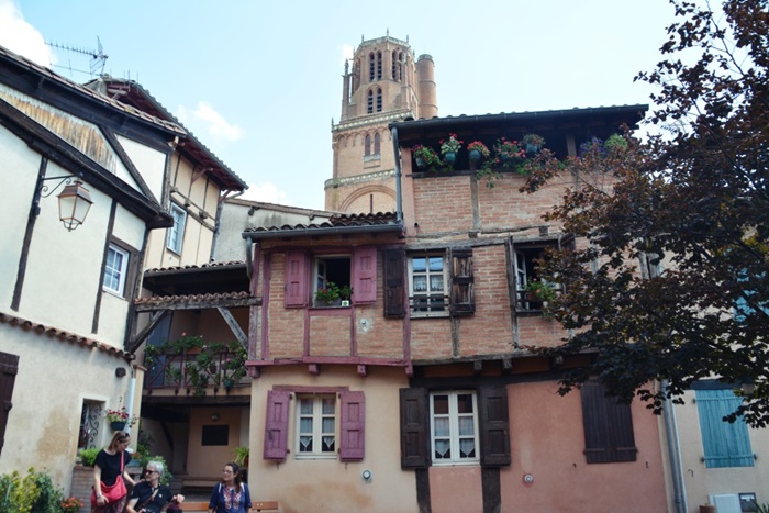  albi