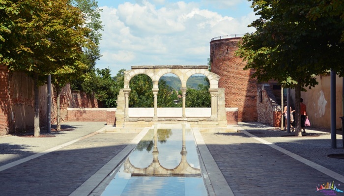  albi