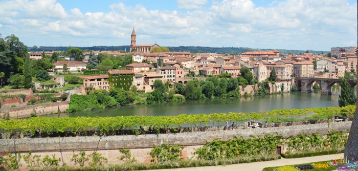  albi