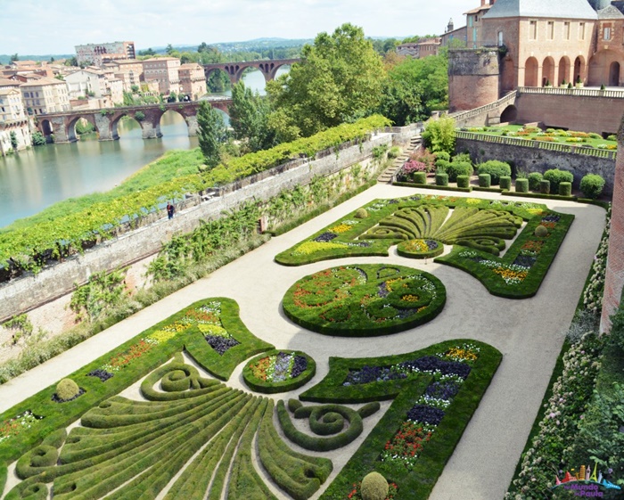  albi