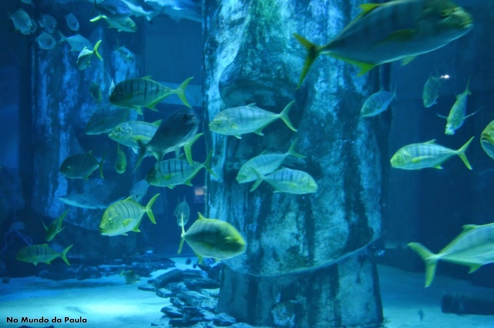 sea life londres