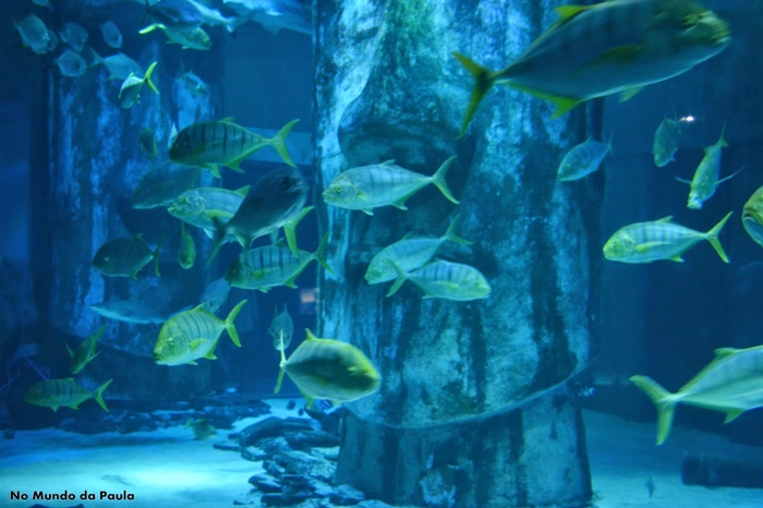 sea life londres
