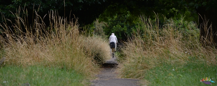 brompton cemetery
