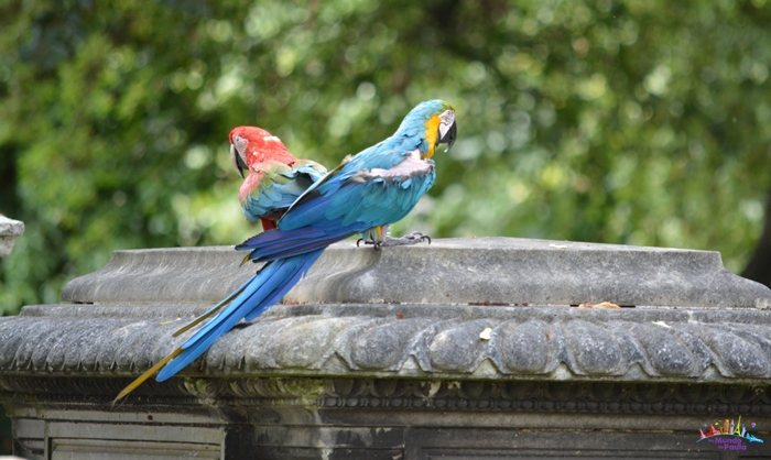 brompton cemetery