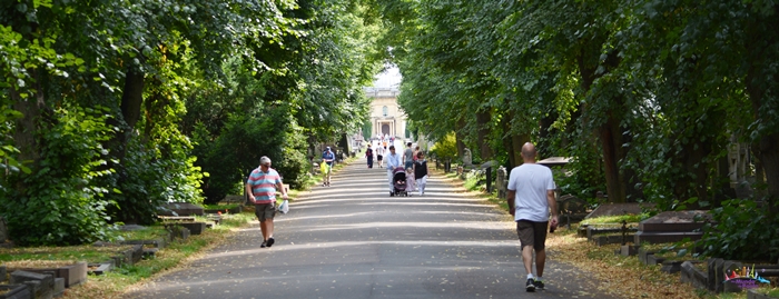 brompton cemetery