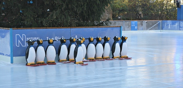 Pista de Patinação no Gelo do Museu de História Natural