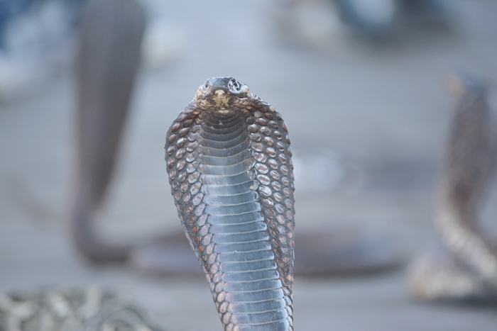 marrakech