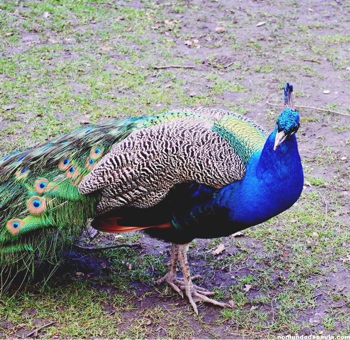 holland park