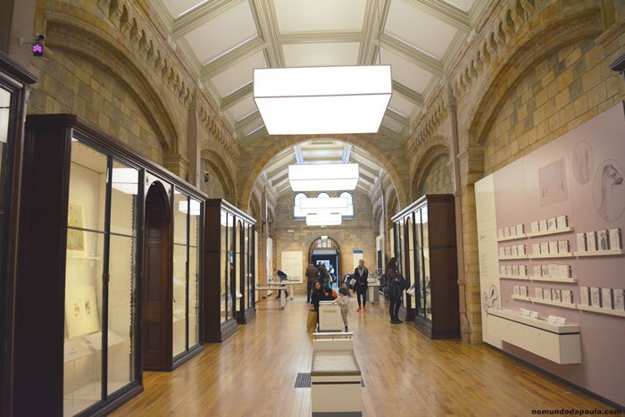 museu de história natural
