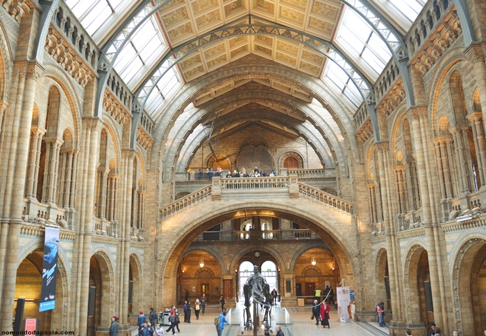 museu de história natural