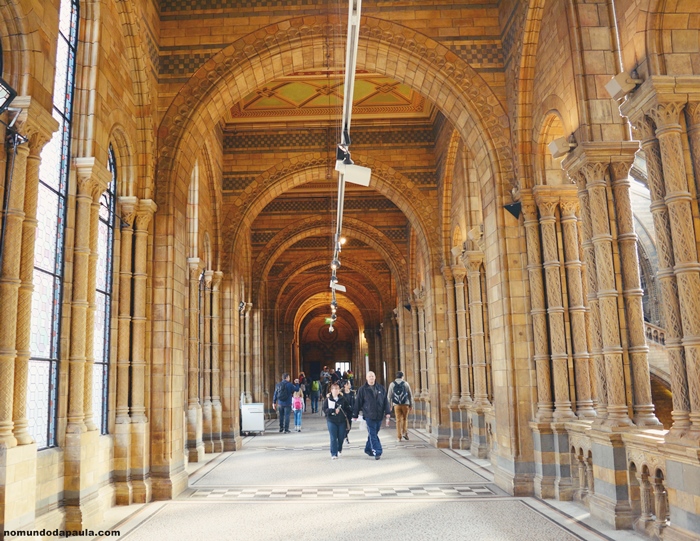 museu de história natural