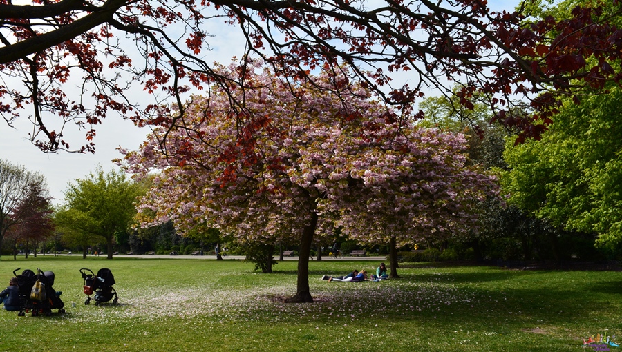 victoria park