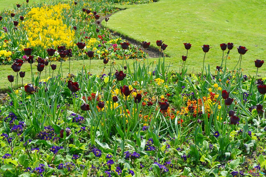 victoria park