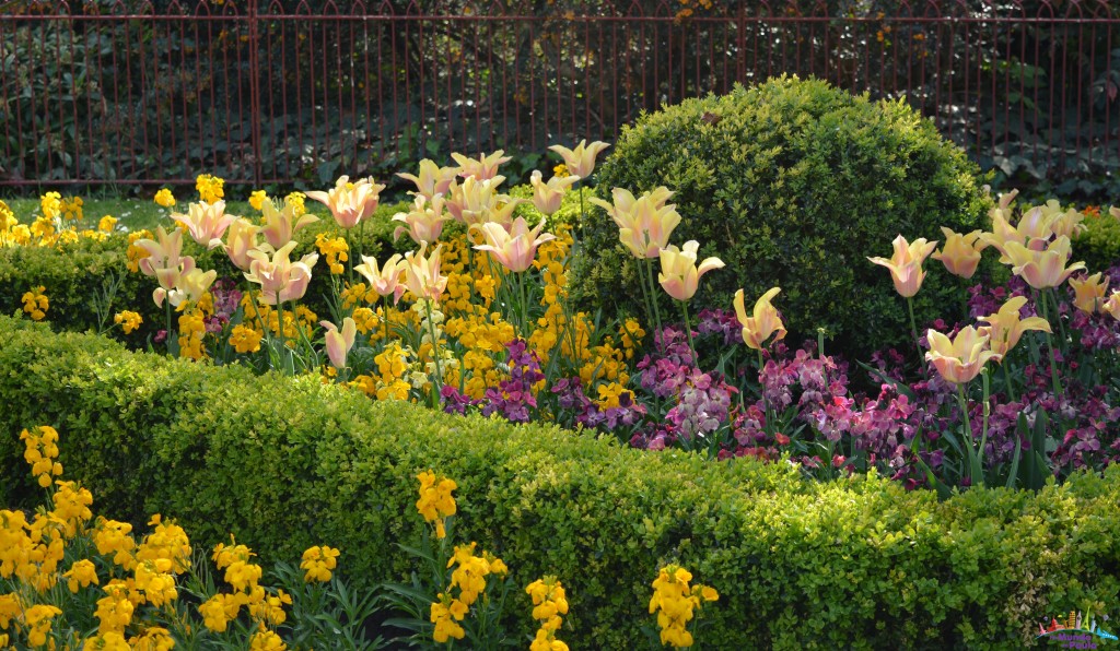tulipas parque londres