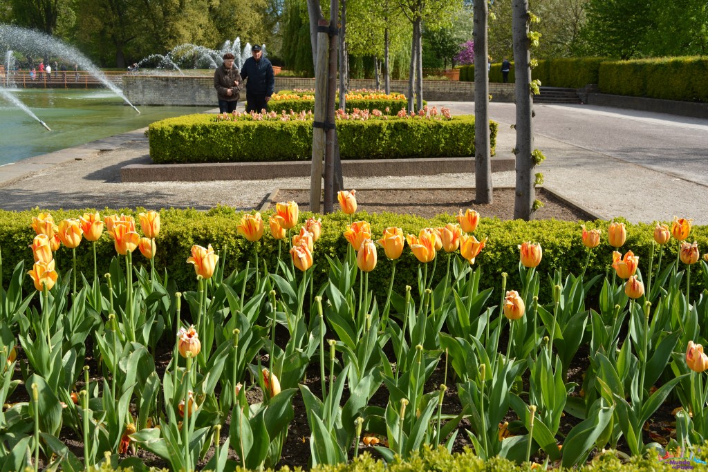 battersea park