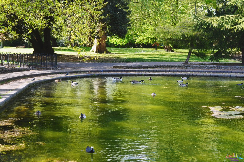 parque londrino