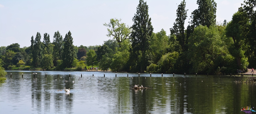 hyde park