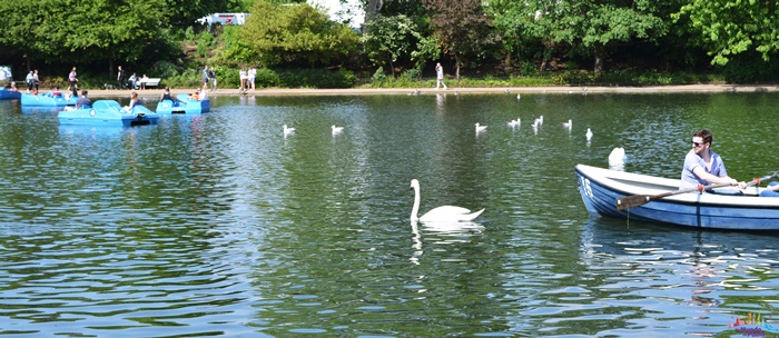 Passeio a Pé pelo Oeste de Londres : Kensington e Hyde Park