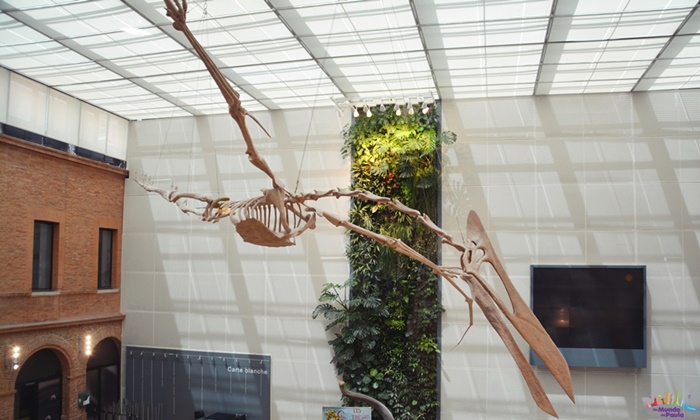 Museu de História Natural de Toulouse