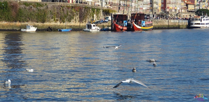 passeio de barco no Porto