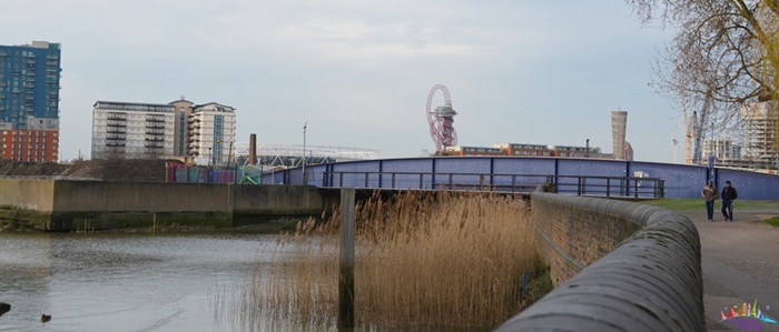 rio lea