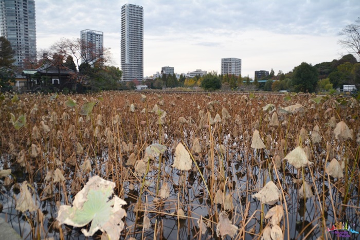 parque ueno