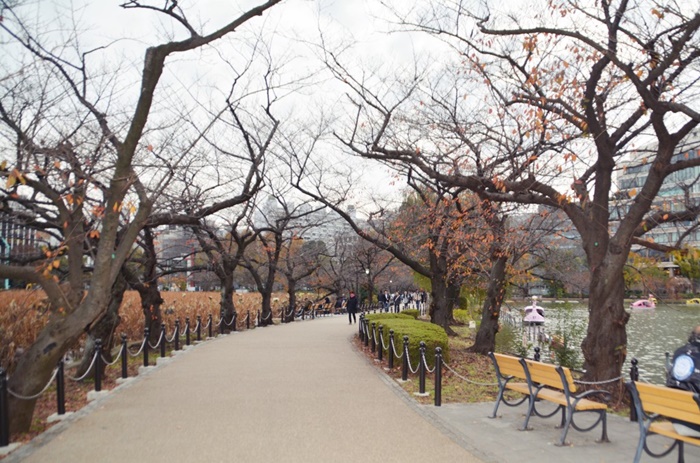 parque ueno