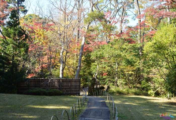 museu nezu