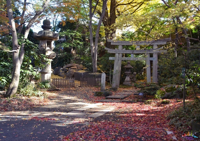museu nezu