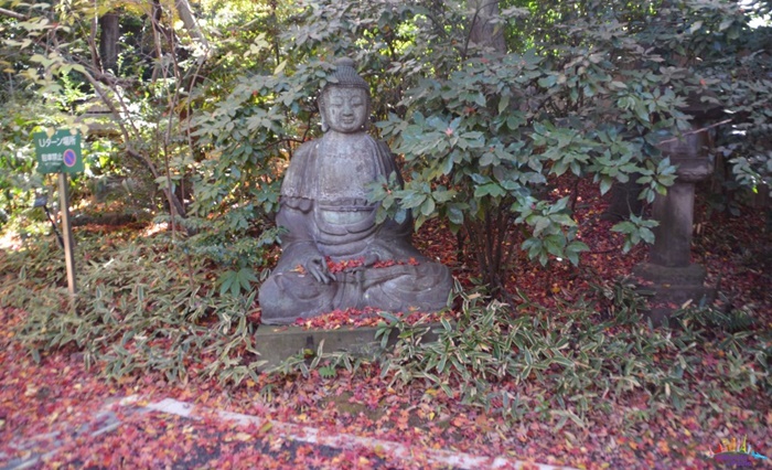 museu nezu