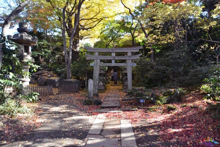 museu nezu