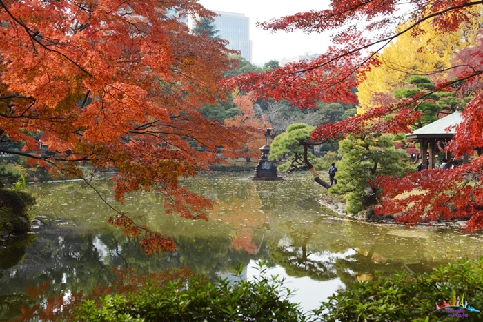 5 parques para conhecer em tóquio