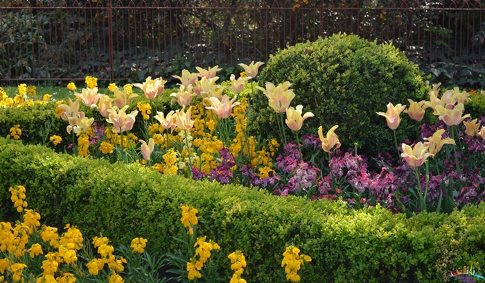 primavera em londres