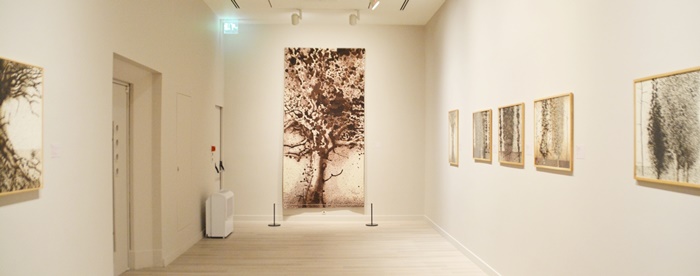 museu de pera