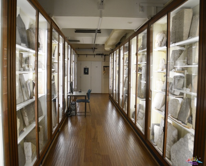 museu petrie