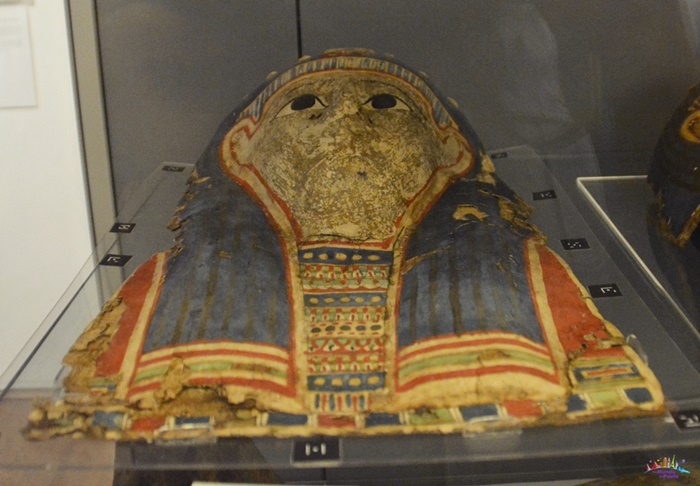 museu petrie