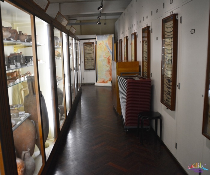 museu petrie