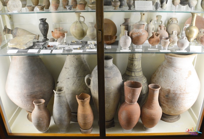 museu petrie