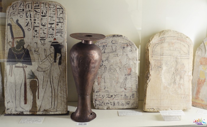 museu petrie