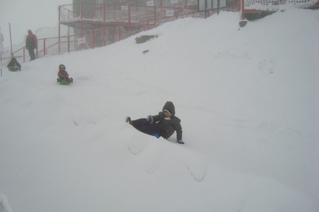 villa la angostura neve