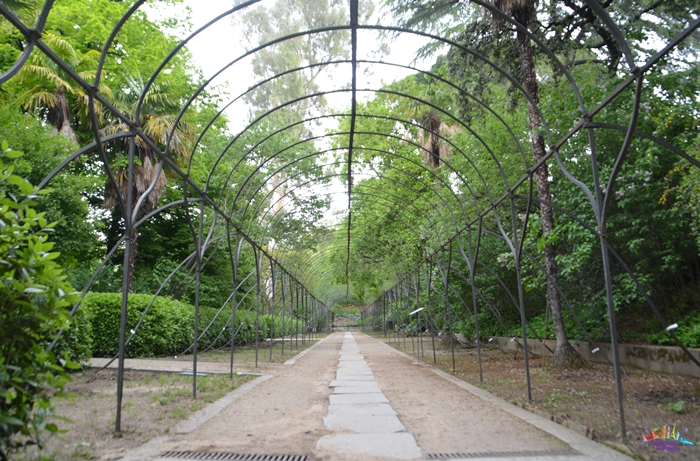 jardim botânico de madri