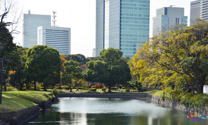 5 parques para conhecer em tóquio