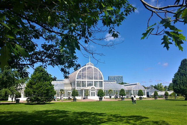 palm house sweden
