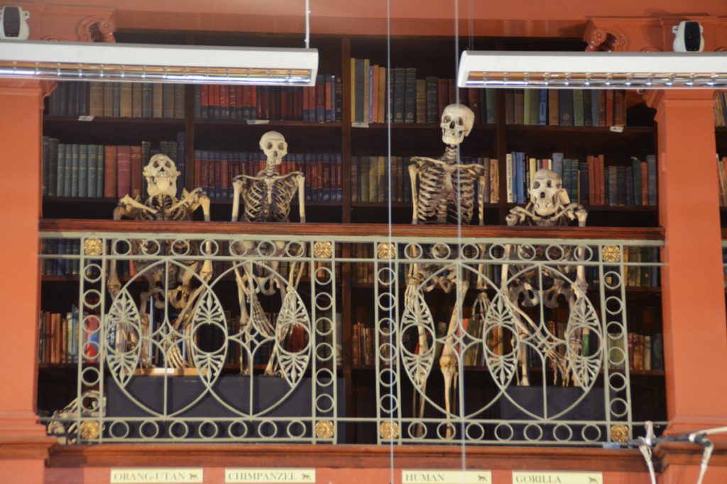 Grant Museu de Zoologia