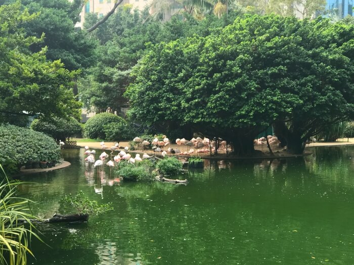 o que fazer em hong kong