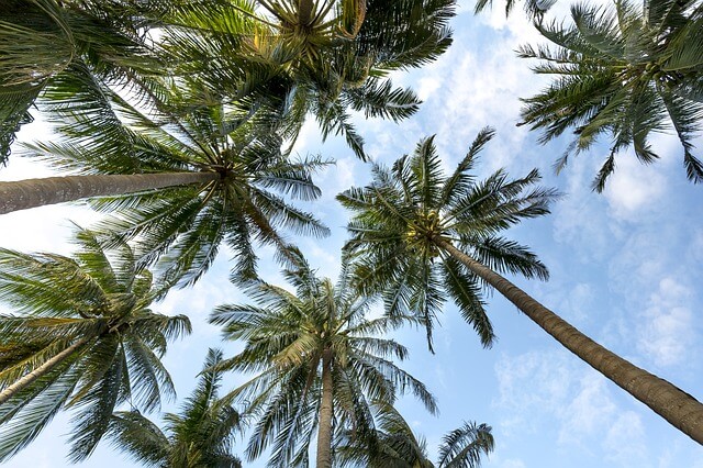 ilhas perto de salvador