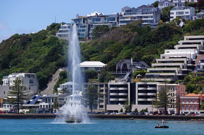 o que fazer em wellington